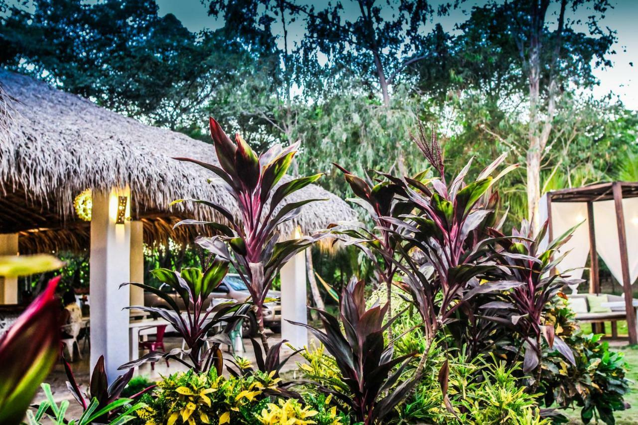 Las Dunas Surf Resort Aposentillo Exterior photo